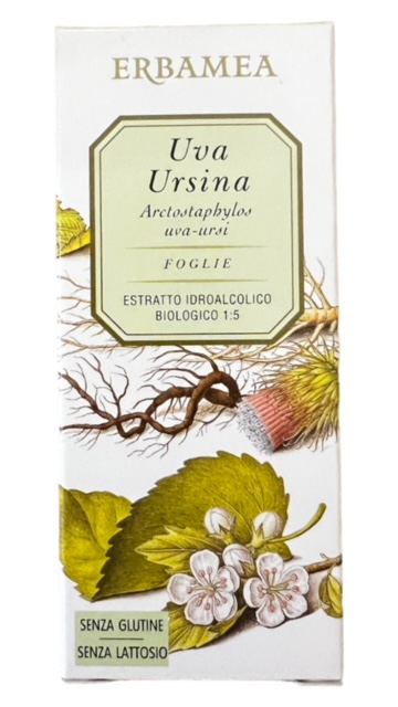 Uva Ursina - immagine 2