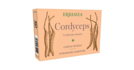 Cordyceps