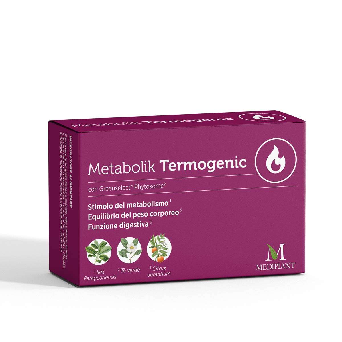 Metabolik Termogenic