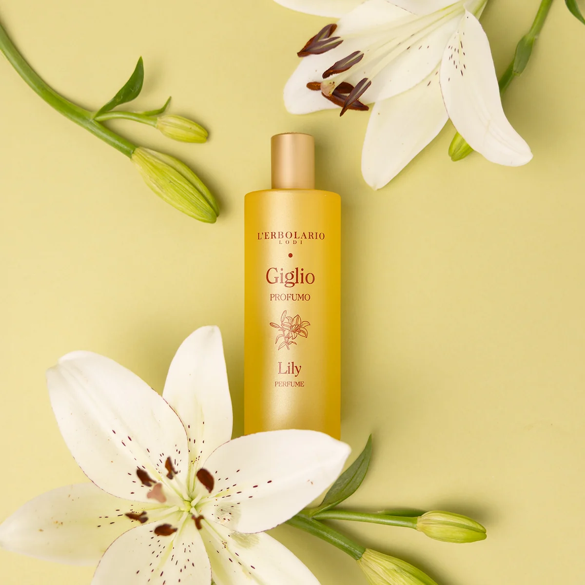 Profumo Giglio - immagine 2